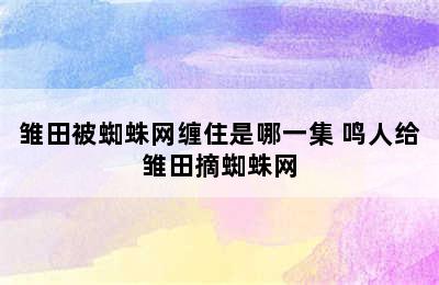 雏田被蜘蛛网缠住是哪一集 鸣人给雏田摘蜘蛛网